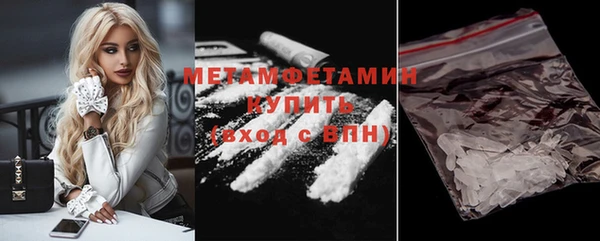 трава Гусиноозёрск