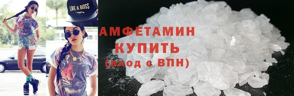 трава Гусиноозёрск