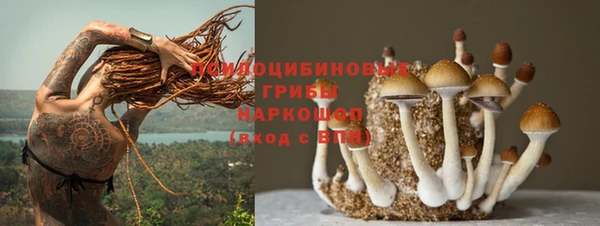 метадон Гусь-Хрустальный