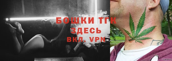 прущий лед Гусев