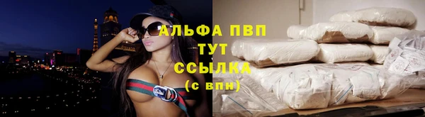 трава Гусиноозёрск