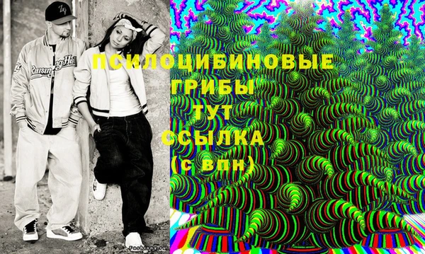 прущий лед Гусев