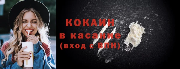 трава Гусиноозёрск