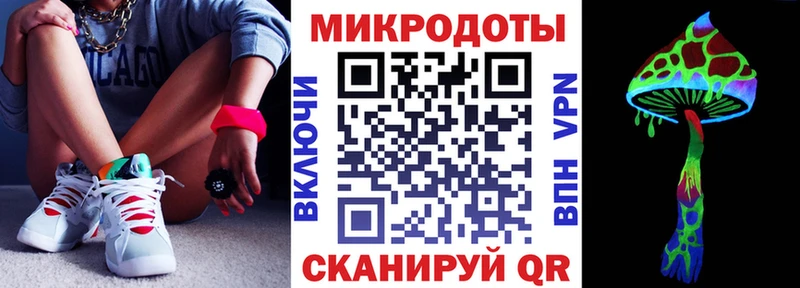 Псилоцибиновые грибы Psilocybe  Купить где  Безенчук 